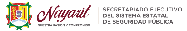 Sistema Estatal de Seguridad Pública